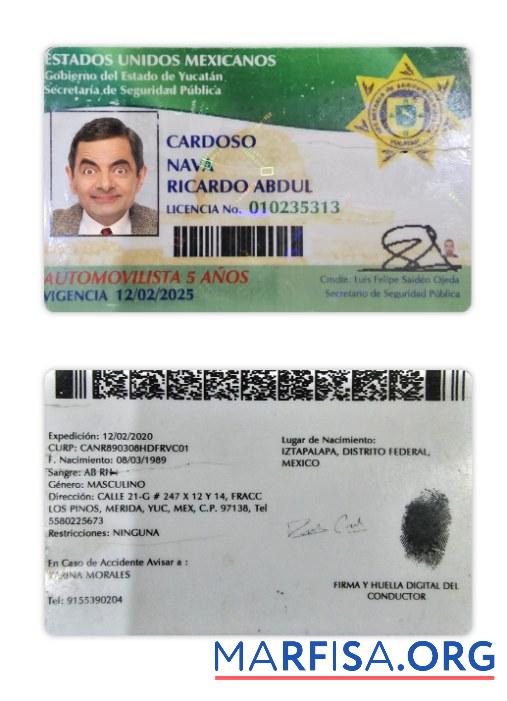 Downloadable Mexico Yucatan state driving license real example